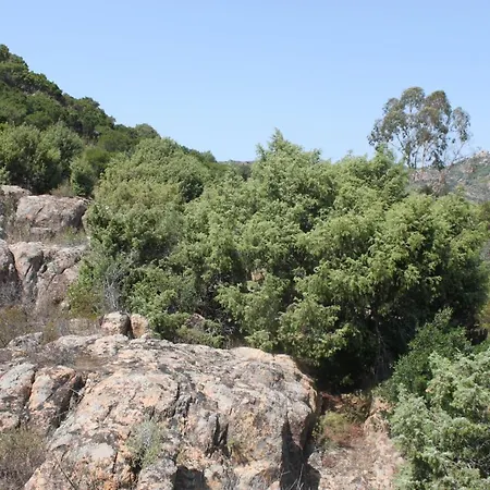 Holiday home Vera Cala Liberotto