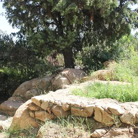 Orovilla Vera