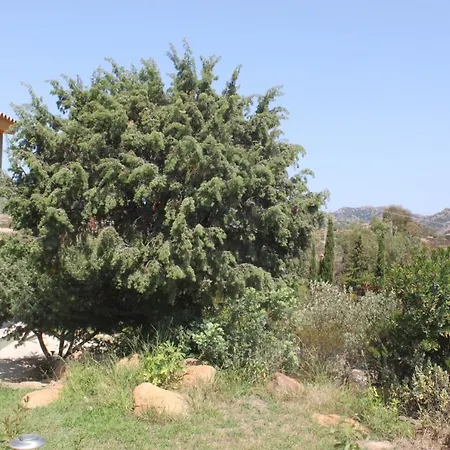 Orovilla Vera *