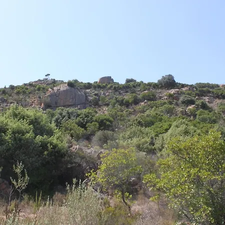Orovilla Vera *