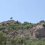 Orovilla Vera *
