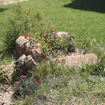 Orovilla Vera Prázdninový dům