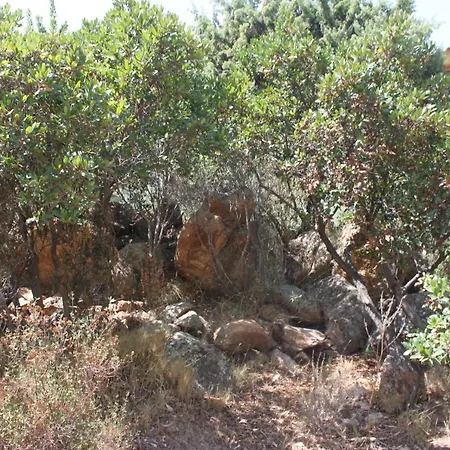 Orovilla Vera *