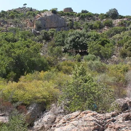 Orovilla Vera