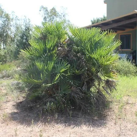 Orovilla Vera